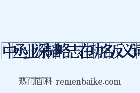 中丞业深韬略志在功名反义词是什么意思的图片